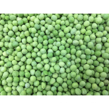 Frozen Vegetables IQF Frozen Green Peas